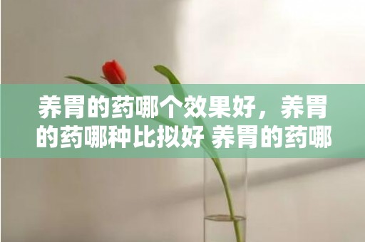 养胃的药哪个效果好，养胃的药哪种比拟好 养胃的药哪种比拟好