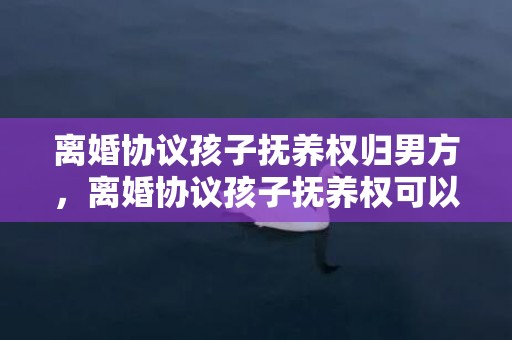 离婚协议孩子抚养权归男方，离婚协议孩子抚养权可以共同拥有吗有效吗？离婚协议抚养权变更