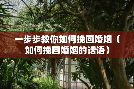 一步步教你如何挽回婚姻（如何挽回婚姻的话语）