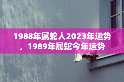 1988年属蛇人2023年运势，1989年属蛇今年运势