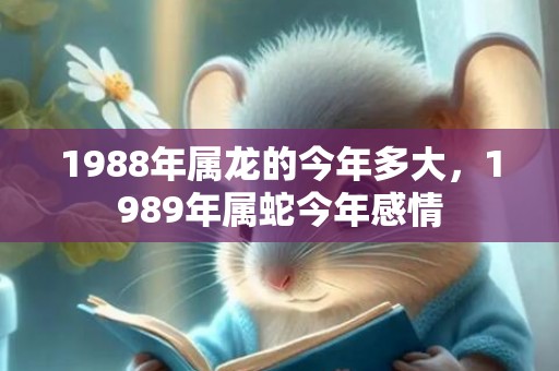 1988年属龙的今年多大，1989年属蛇今年感情