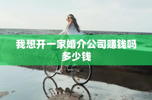 我想开一家婚介公司赚钱吗多少钱