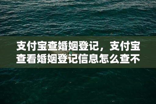 支付宝查婚姻登记，支付宝查看婚姻登记信息怎么查不到呢