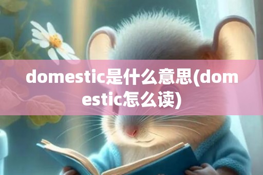 domestic是什么意思(domestic怎么读)