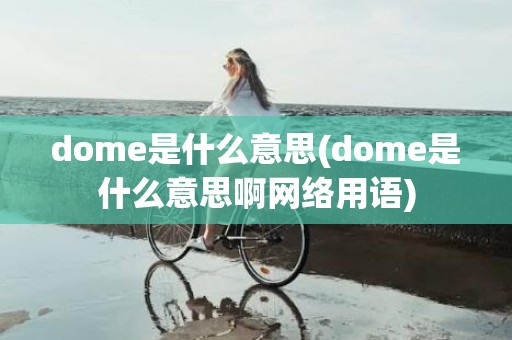 dome是什么意思(dome是什么意思啊网络用语)