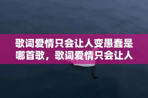 歌词爱情只会让人变愚蠢是哪首歌，歌词爱情只会让人变愚蠢是什么歌曲名字，爱情让人变得愚蠢