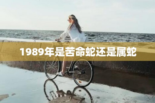 1989年是苦命蛇还是属蛇