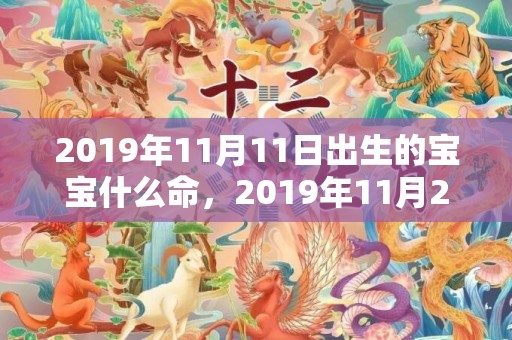 2019年11月11日出生的宝宝什么命，2019年11月29号出生的男孩怎么起名字，五行属什么