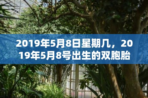 2019年5月8日星期几，2019年5月8号出生的双胞胎男孩起什么名字比较好，五行属什么