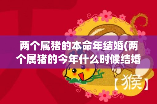 两个属猪的本命年结婚(两个属猪的今年什么时候结婚好)(属猪本命年份)