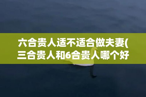 六合贵人适不适合做夫妻(三合贵人和6合贵人哪个好)(三合贵人适不适合做夫妻)