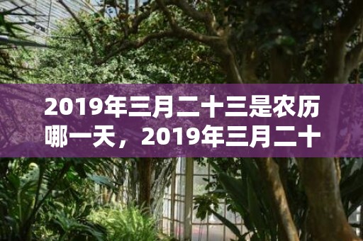 2019年三月二十三是农历哪一天，2019年三月二十八出生的男孩如何起名字，五行属什么