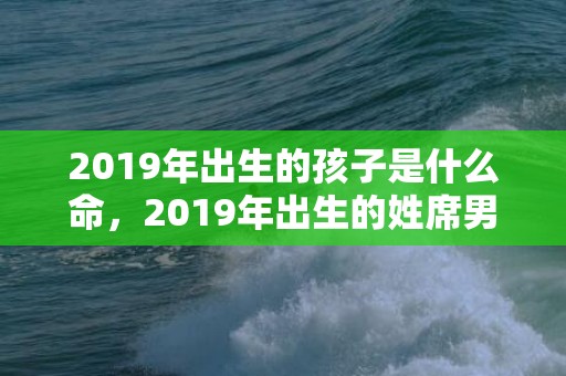 2019年出生的孩子是什么命，2019年出生的姓席男孩如何起名，宜用什么字