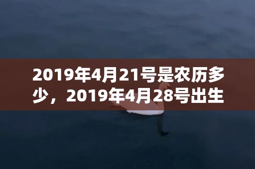 2019年4月21号是农历多少，2019年4月28号出生的双胞胎男孩起什么名字比较好，五行属什么