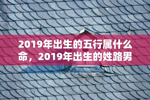 2019年出生的五行属什么命，2019年出生的姓路男孩如何起名，宜用什么字