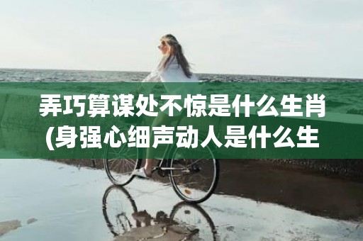 弄巧算谋处不惊是什么生肖(身强心细声动人是什么生肖)(弄巧算谋处不惊是指什么生肖)