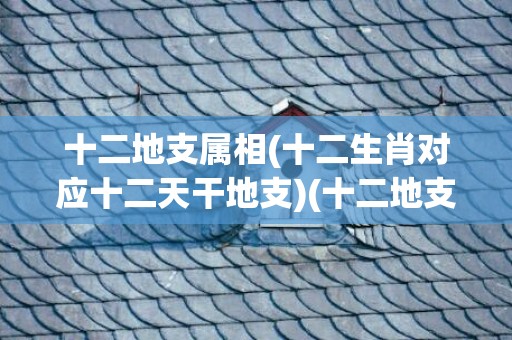 十二地支属相(十二生肖对应十二天干地支)(十二地支所属生肖及属相)