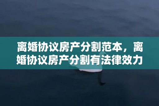 离婚协议房产分割范本，离婚协议房产分割有法律效力吗怎么写 民政局财产分割有没法律效力