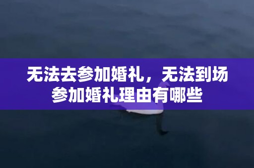 无法去参加婚礼，无法到场参加婚礼理由有哪些