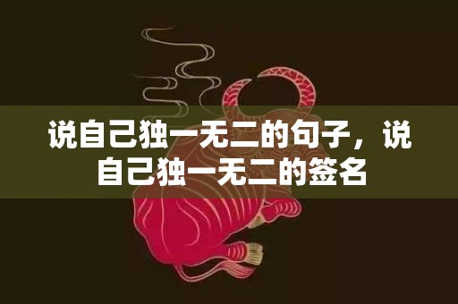 说自己独一无二的句子，说自己独一无二的签名