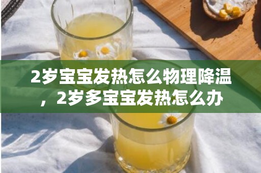 2岁宝宝发热怎么物理降温，2岁多宝宝发热怎么办