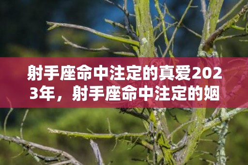 射手座命中注定的真爱2023年，射手座命中注定的姻缘是谁