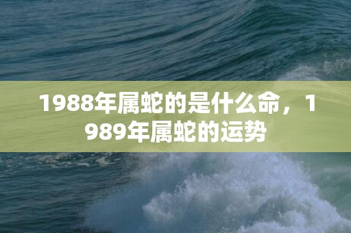 1988年属蛇的是什么命，1989年属蛇的运势