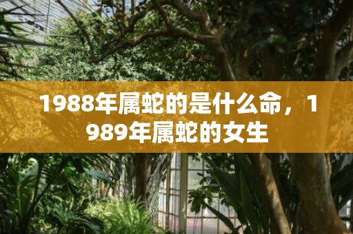 1988年属蛇的是什么命，1989年属蛇的女生