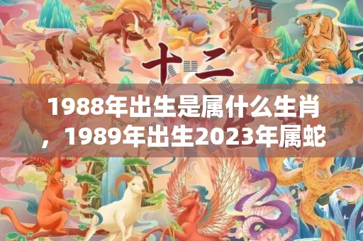 1988年出生是属什么生肖，1989年出生2023年属蛇