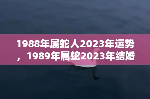 1988年属蛇人2023年运势，1989年属蛇2023年结婚