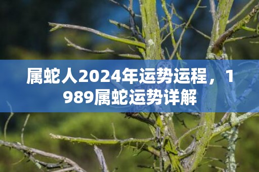 属蛇人2024年运势运程，1989属蛇运势详解