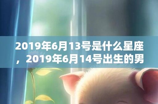 2019年6月13号是什么星座，2019年6月14号出生的男宝宝五行缺木要如何起名字