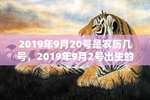 2019年9月20号是农历几号，2019年9月2号出生的男孩怎么起名字，五行属什么