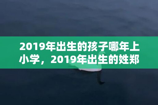 2019年出生的孩子哪年上小学，2019年出生的姓郑男孩如何起名，宜用什么字