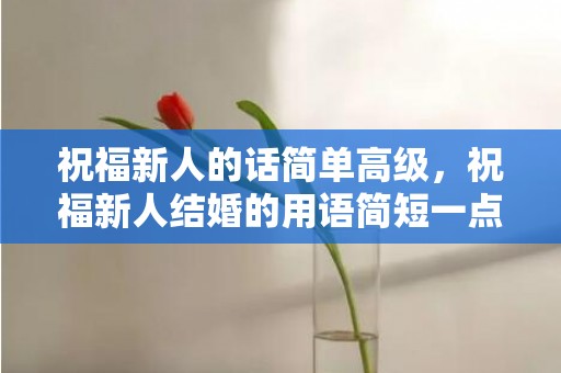 祝福新人的话简单高级，祝福新人结婚的用语简短一点