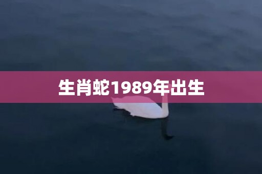 生肖蛇1989年出生