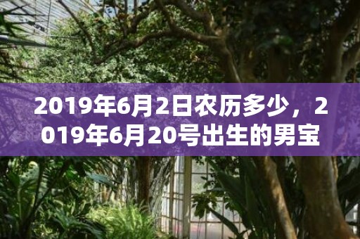 2019年6月2日农历多少，2019年6月20号出生的男宝宝五行缺金要怎么起名字