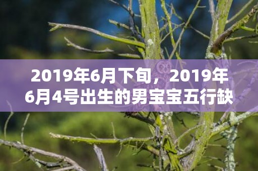 2019年6月下旬，2019年6月4号出生的男宝宝五行缺金要怎么起名字