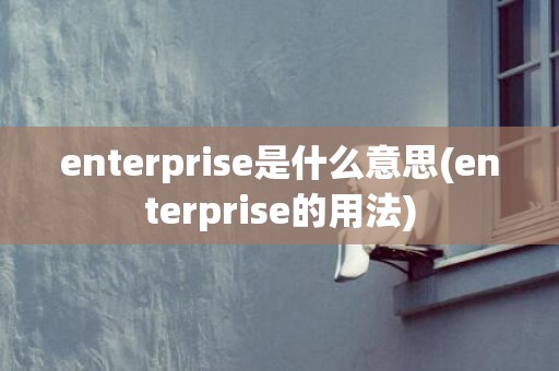 enterprise是什么意思(enterprise的用法)