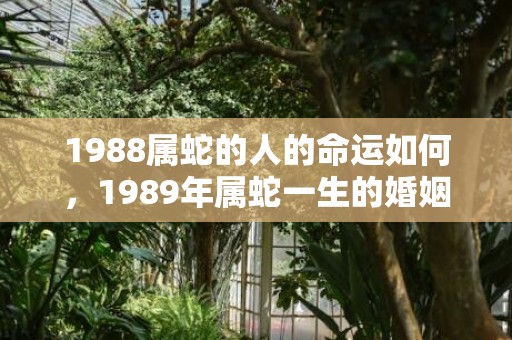 1988属蛇的人的命运如何，1989年属蛇一生的婚姻状况