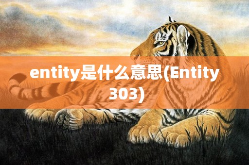 entity是什么意思(Entity 303)