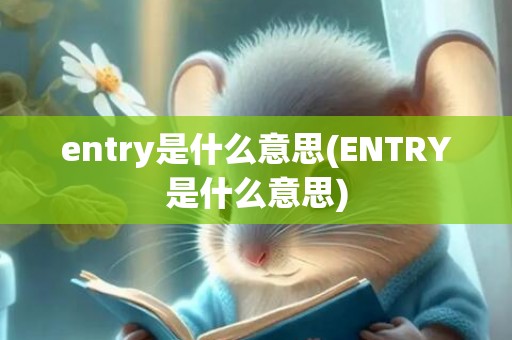 entry是什么意思(ENTRY是什么意思)