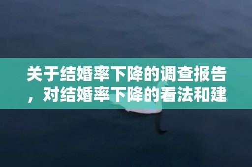 关于结婚率下降的调查报告，对结婚率下降的看法和建议怎么写