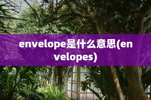 envelope是什么意思(envelopes)