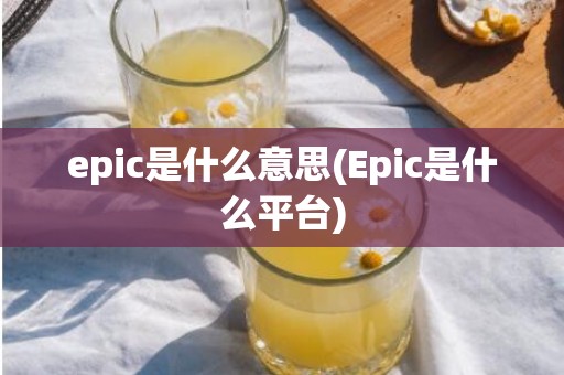 epic是什么意思(Epic是什么平台)