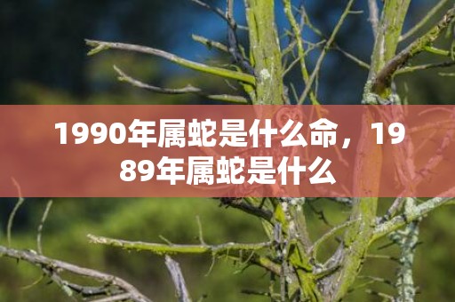 1990年属蛇是什么命，1989年属蛇是什么