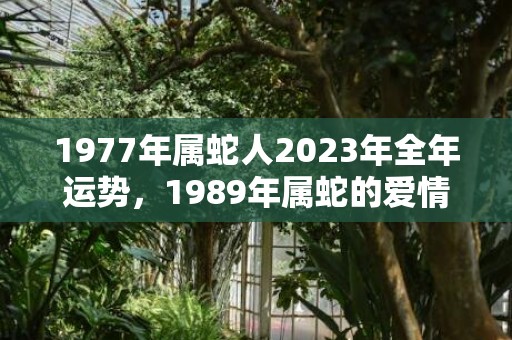 1977年属蛇人2023年全年运势，1989年属蛇的爱情