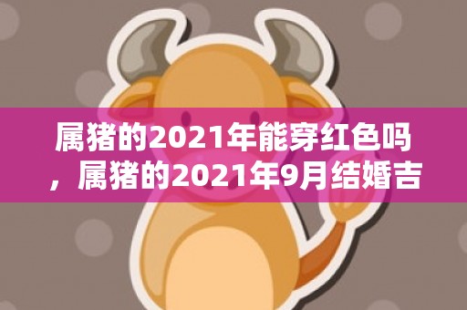 属猪的2021年能穿红色吗，属猪的2021年9月结婚吉日是什么