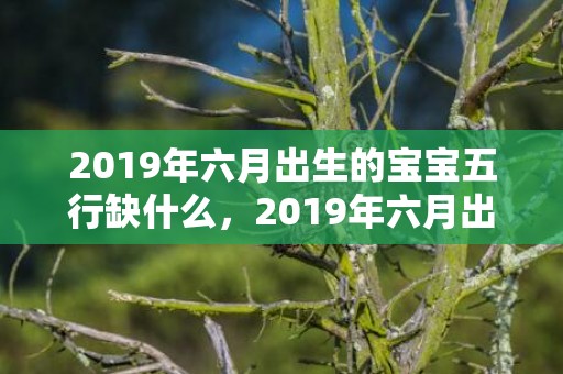 2019年六月出生的宝宝五行缺什么，2019年六月出生的双胞胎男孩起什么名字好听，禁用什么字