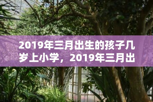 2019年三月出生的孩子几岁上小学，2019年三月出生的双胞胎男孩起什么名字好听，禁用什么字